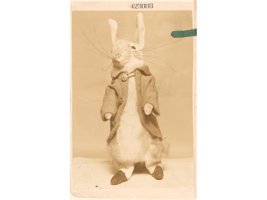 An image of the first Peter Rabbit doll created by Beatrix Potters in 1903, which was registered at the Patent Office.